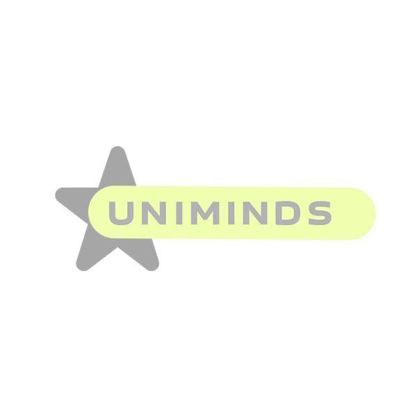 ����������� ��'������� ���������� (UniMinds)